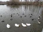 South Norwood Country Park - 2012