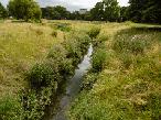 Wandle Park - 2017